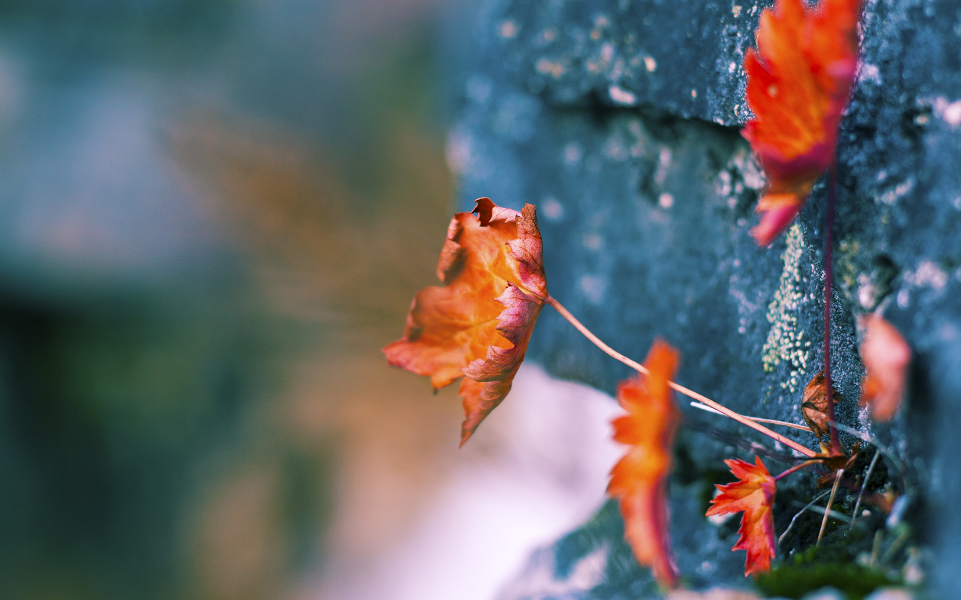 库里在总决赛第六场砍下40分，三分球16投10中，成为夺冠最大功臣！